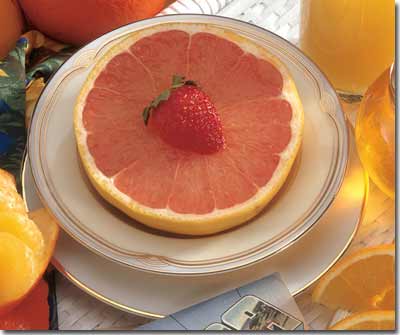 The Mayo Clinic Grapefruit Diet Fiction