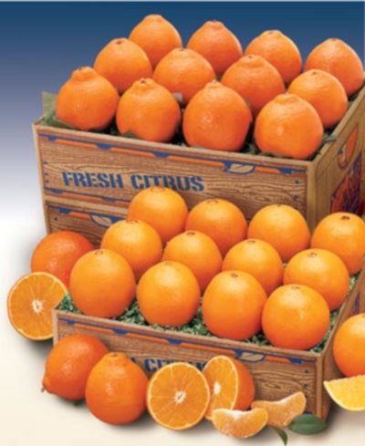 Navel Oranges and Honeybell Orange Tangelos