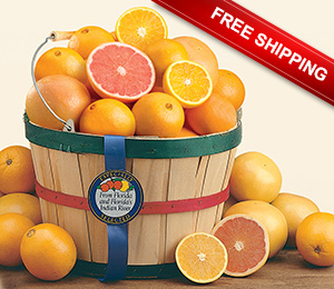 Florida Gift baskets with oranges, tangerines, and grapefruit plus Free Shipping.