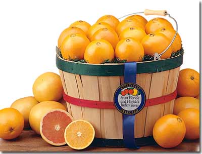 Florida Oranges and Gourmet Gift Baskets