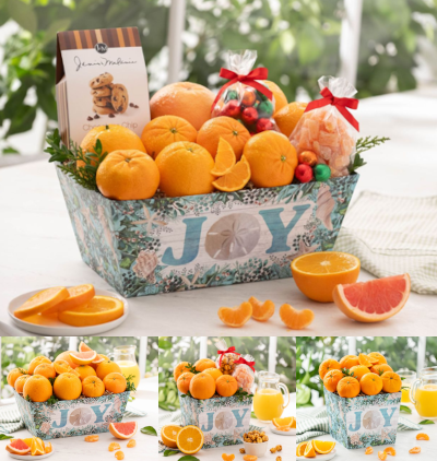 Grove fresh citrus and treats in a Coastal Christmas gift box.
