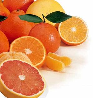 Ruby Red Grapefruit and Golden Honeybells.