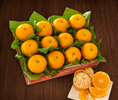 Baby O's Mandarins, super juicy and exquisitely flavorful.